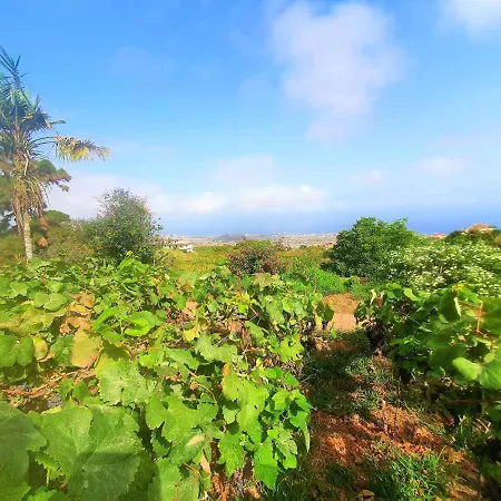 Hébergement de vacances Casa En Ecologica - Wifi La Orotava