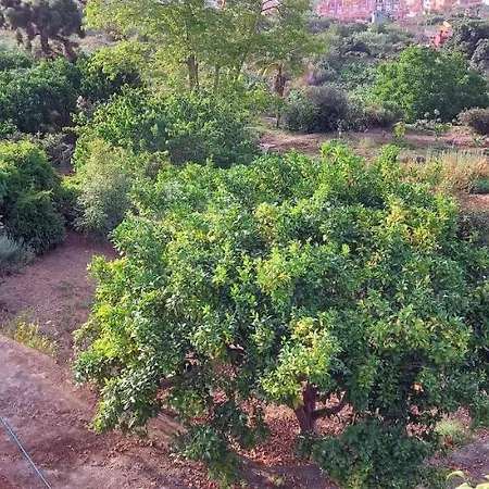 Hébergement de vacances Casa En Ecologica - Wifi *