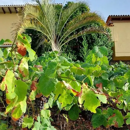 Semesterbostad Casa En Ecologica - Wifi La Orotava